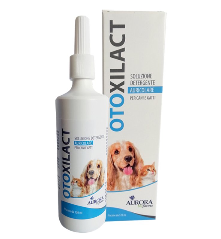 OTOXILACT DETERGENTE AURICOLARE