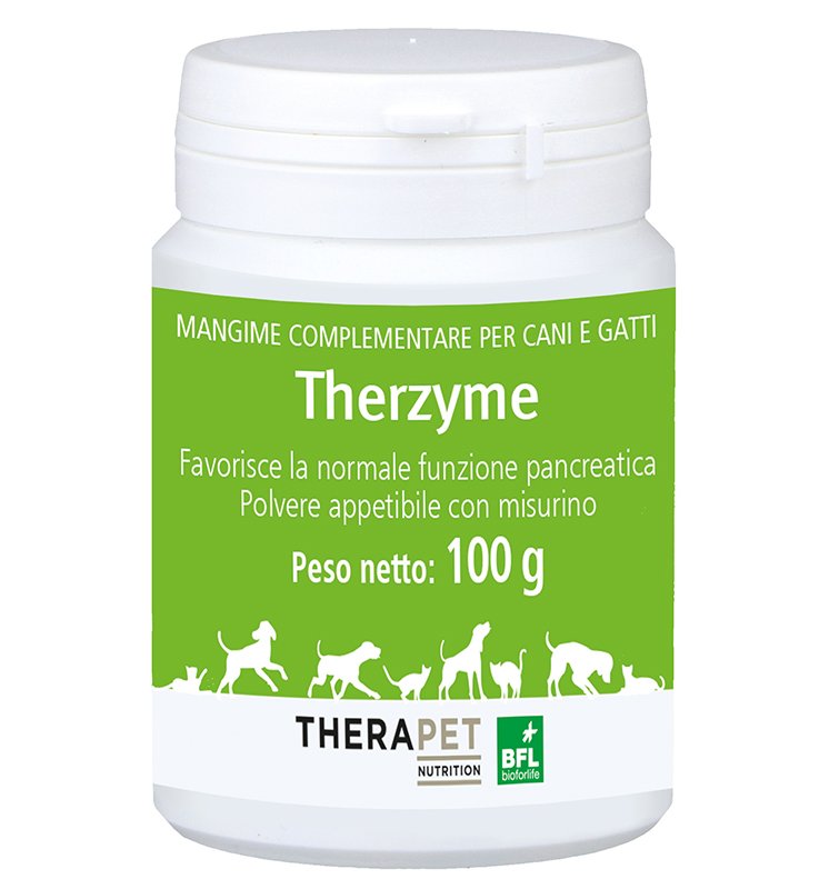 THERZYME Polv.100g