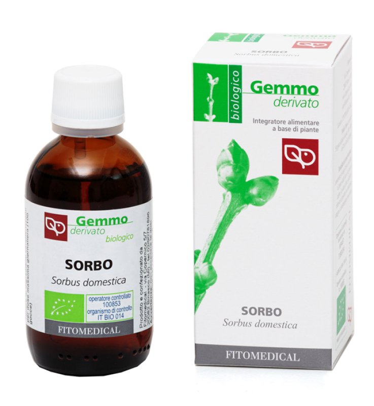 SORBO BIO 50ML