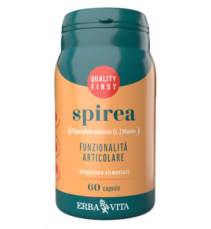 SPIREA 60 Cps 400mg EBV SPIREA 60 Cps 400mg EBV