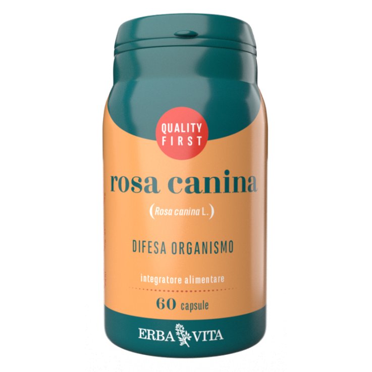 ROSA CANINA 60CPS EBV ROSA CANINA 60CPS EBV
