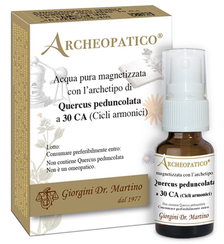 QUERCUS PEDUNCOLATA 30CA SVS QUERCUS PEDUNCOLATA 30CA SVS