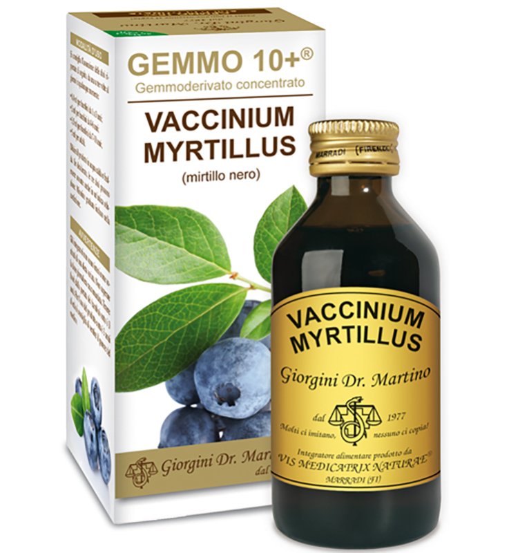 GEMMO 10+ GEMMODERIVATO CONCENTRATO VACCINIUM MYRTILLUS MIRTILLO NERO SENZA ALCOOL 100 ML GEMMO 10+ GEMMODERIVATO CONCENTRATO VACCINIUM MYRTILLUS MIRTILLO NERO SENZA ALCOOL 100 ML