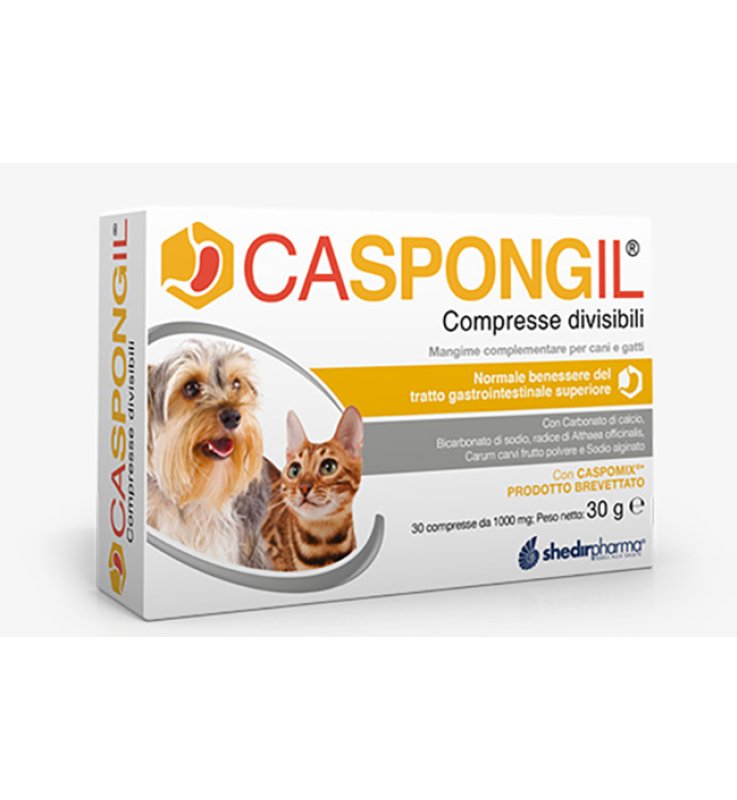CASPONGIL 30 COMPRESSE DIVISIBILI CASPONGIL 30 COMPRESSE DIVISIBILI