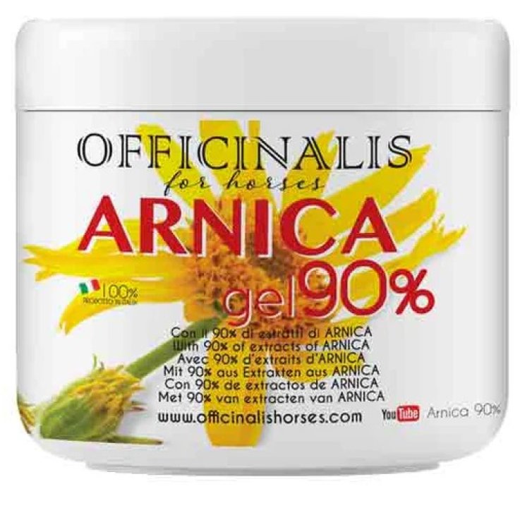 ARNICA GEL 90% 500 ML ARNICA GEL 90% 500 ML