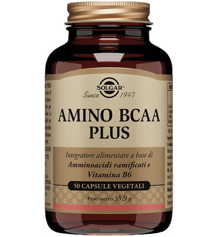 SOLGAR AMINO BCAA PLUS 50CPS(AMI