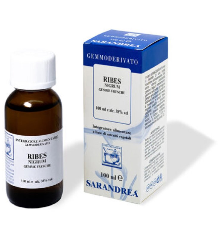 RIBES NIGRUM 100 ML MACERATO GLICERICO RIBES NIGRUM 100 ML MACERATO GLICERICO