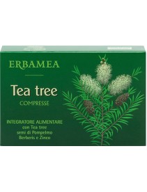 TEA TREE 30 COMPRESSE