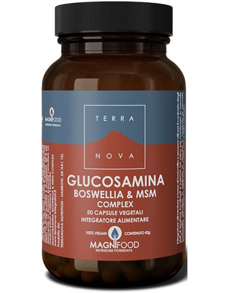 TERRANOVA COMPL GLUCOSAM/BOSWELI
