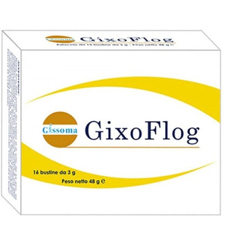GIXOFLOG 16 BUSTINE GIXOFLOG 16 BUSTINE