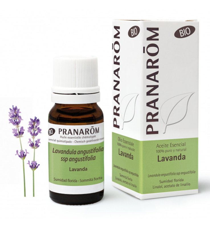 PRANAROM LAVANDA OLIO ESS BIO 10