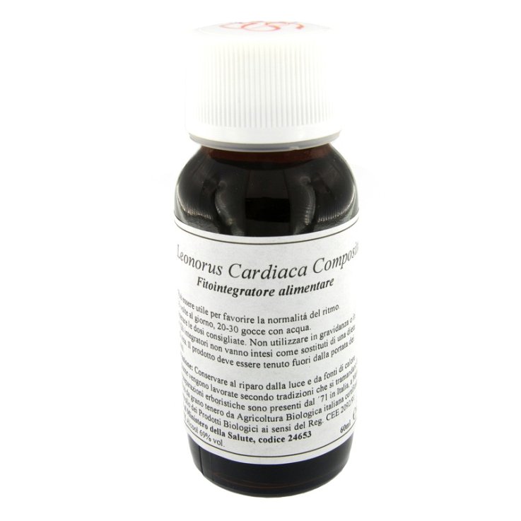 LVS 39S Leonorus Card.Comp. LVS 39S Leonorus Card.Comp.