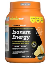 ISONAM ENERGY LEMON 480G