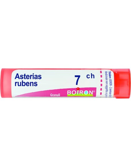 ASTERIAS RUBENS 7CH GRN BOIRON