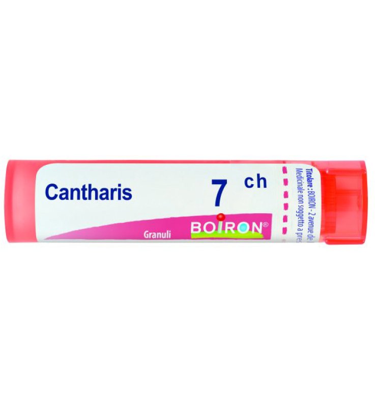 CANTHARIS  7CH GRN           B