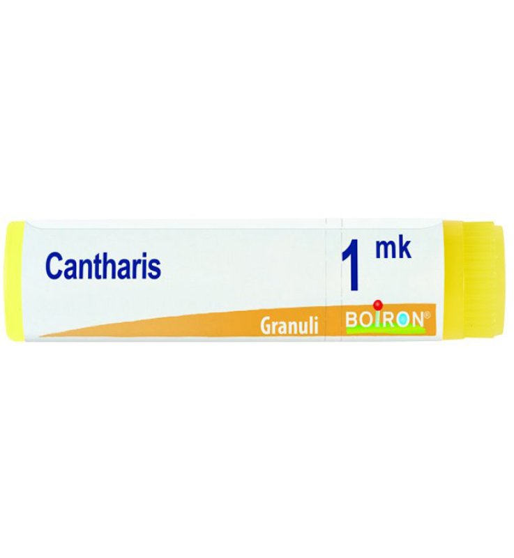 CANTHARIS  MK DOSE BOIRON