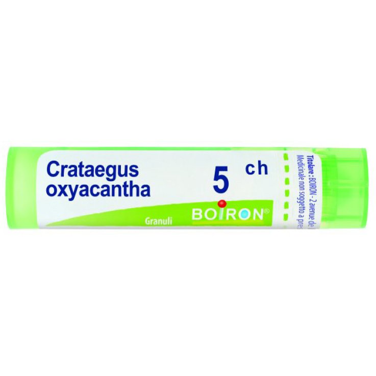 CRATAEGUS OXYAC*BO* TG 5CH CRATAEGUS OXYAC*BO* TG 5CH