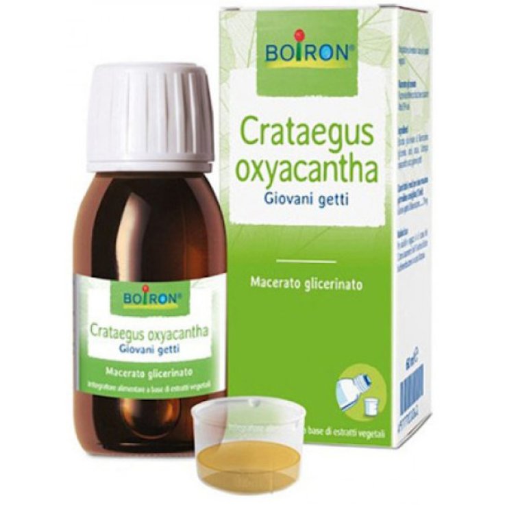 CRATAEGUS OXYACANTHA TINTURA MADRE 60 ML CRATAEGUS OXYACANTHA TINTURA MADRE 60 ML