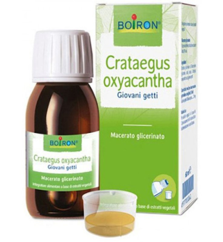 CRATAEGUS OXYACANTHA  TINTURA MADRE 60 ML