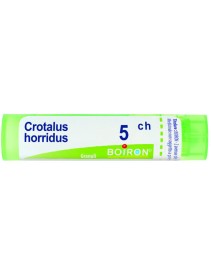 CROTALUS  HORRIDUS 5CH GRN BOIRO