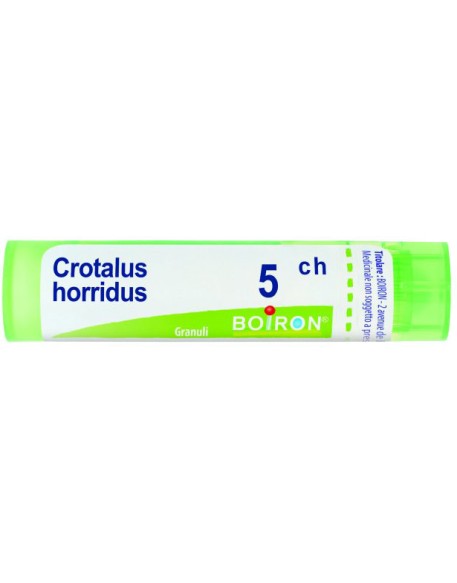 CROTALUS  HORRIDUS 5CH GRN BOIRO