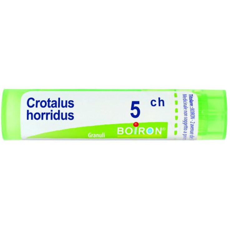 CROTALUS HORRIDUS 5CH GRN BOIRO CROTALUS HORRIDUS 5CH GRN BOIRO