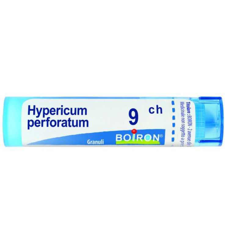 HYPERICUM  9CH GRN           B