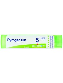 PYROGENIUM 5 CH GRANULI