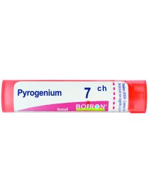 PYROGENIUM 7CH GR BO