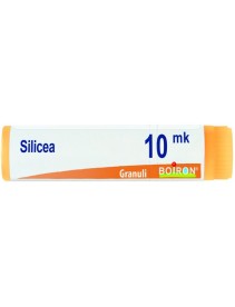 SILICEA XMK GL BO