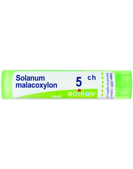SOLANUM  MALAC 5CH GRN BOIRON