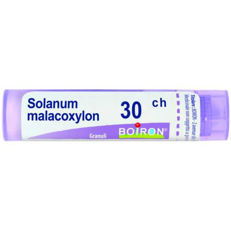 SOLANUM MALACOXYLON 30CH GRN BOI SOLANUM MALACOXYLON 30CH GRN BOI