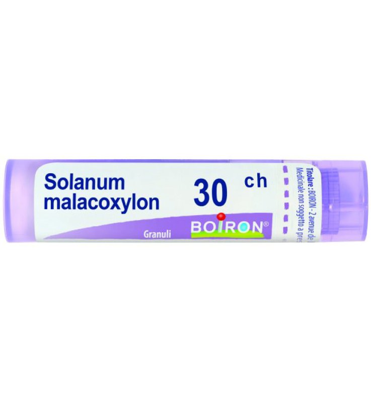 SOLANUM MALACOXYLON 30CH GRN BOI SOLANUM MALACOXYLON 30CH GRN BOI