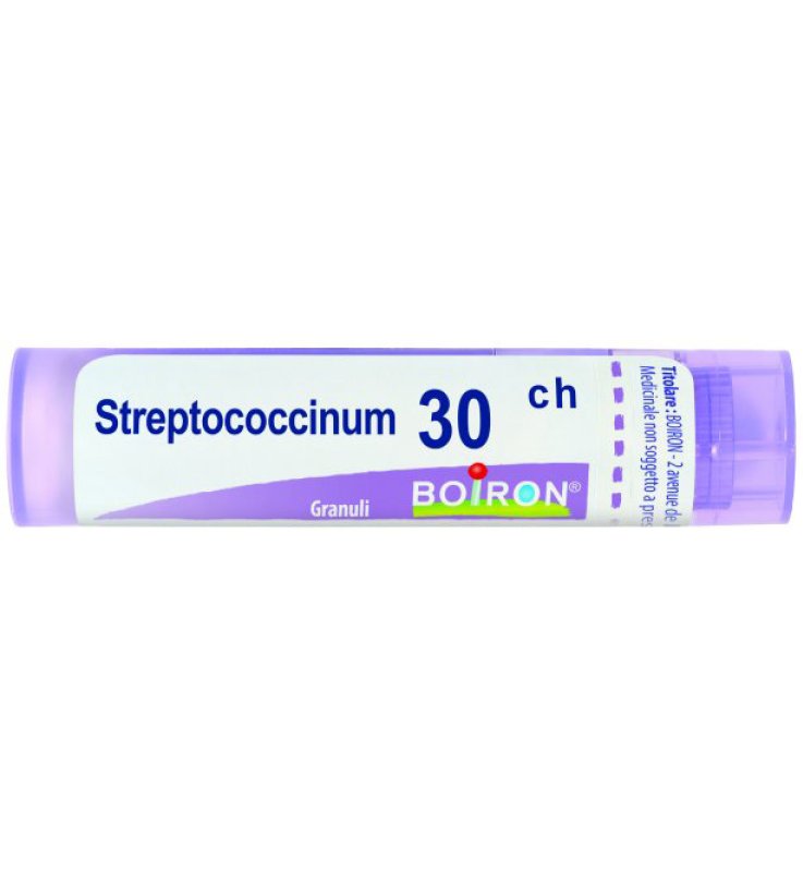STREPTOCOCCINUM 30CH GR BO