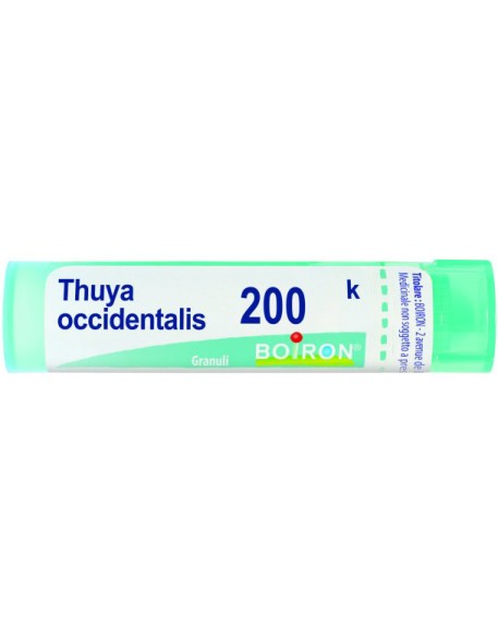 THUYA OCCIDENT 200K GR BO