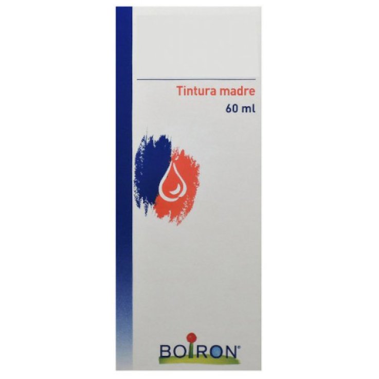 THUYA OCCIDENTALIS TINTURA MADRE 60 ML THUYA OCCIDENTALIS TINTURA MADRE 60 ML