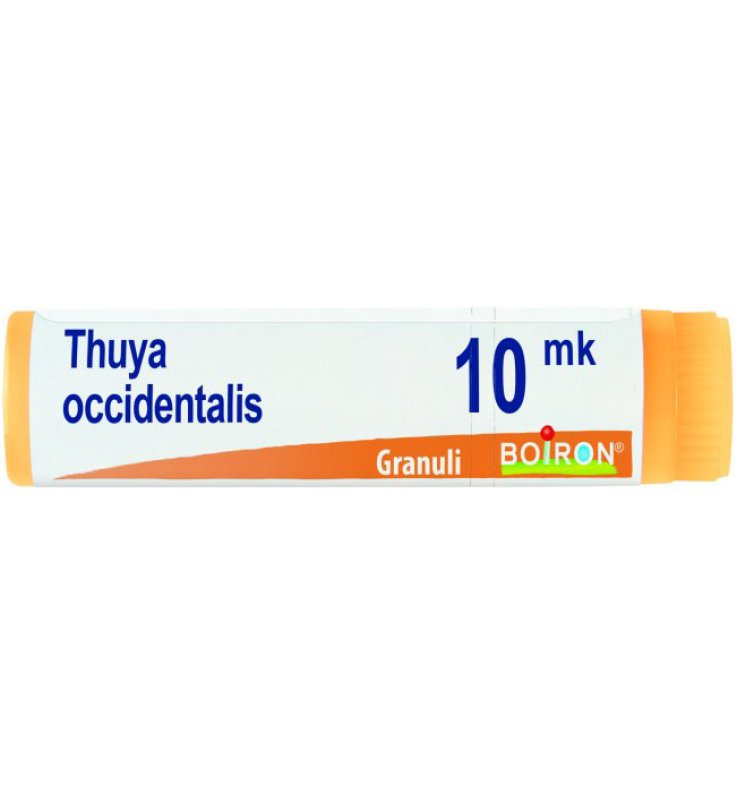 THUYA OCCIDENTALIS XMK GLOBULI
