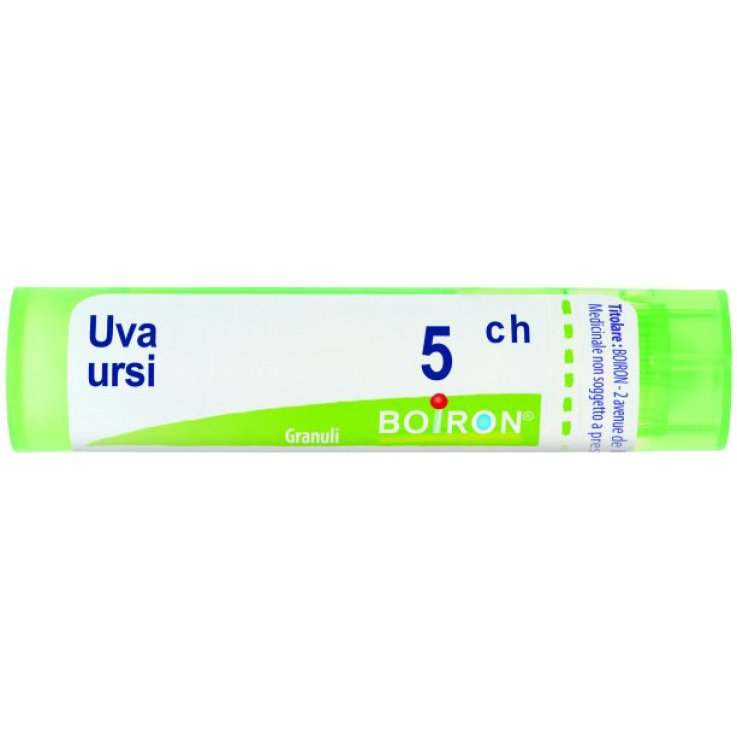 UVA URSINA 5CH GRANULI UVA URSINA 5CH GRANULI