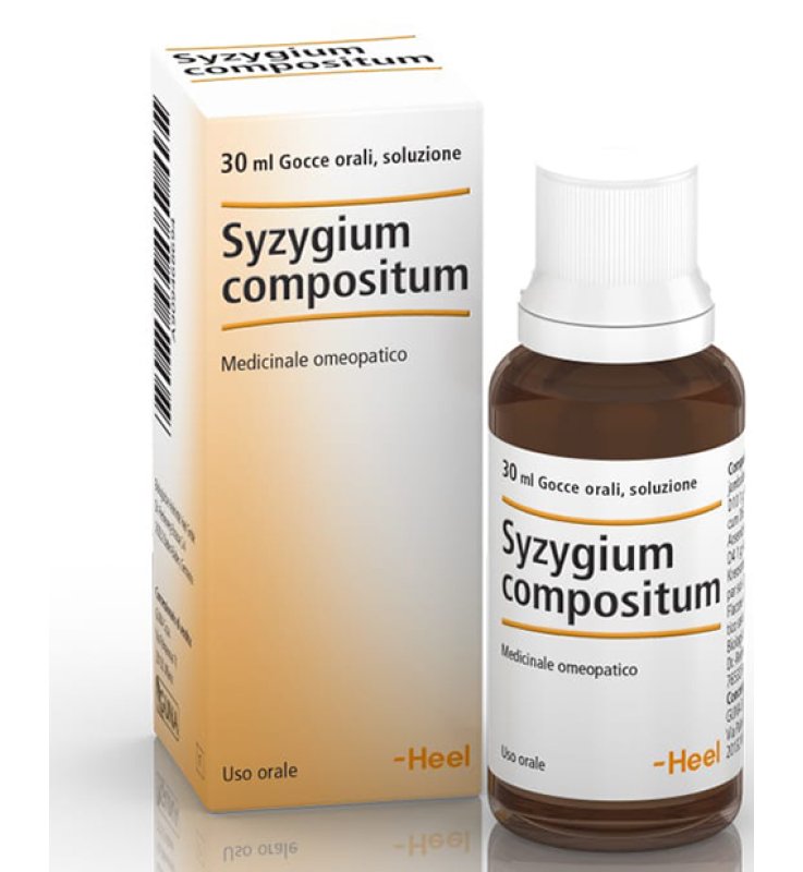 SYZYGIUM COMP Gtt 30ml HEEL