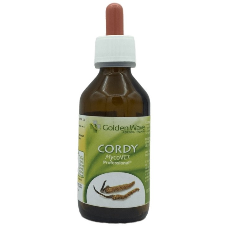 V CORDY MYCOVET PROFESSIONAL V CORDY MYCOVET PROFESSIONAL