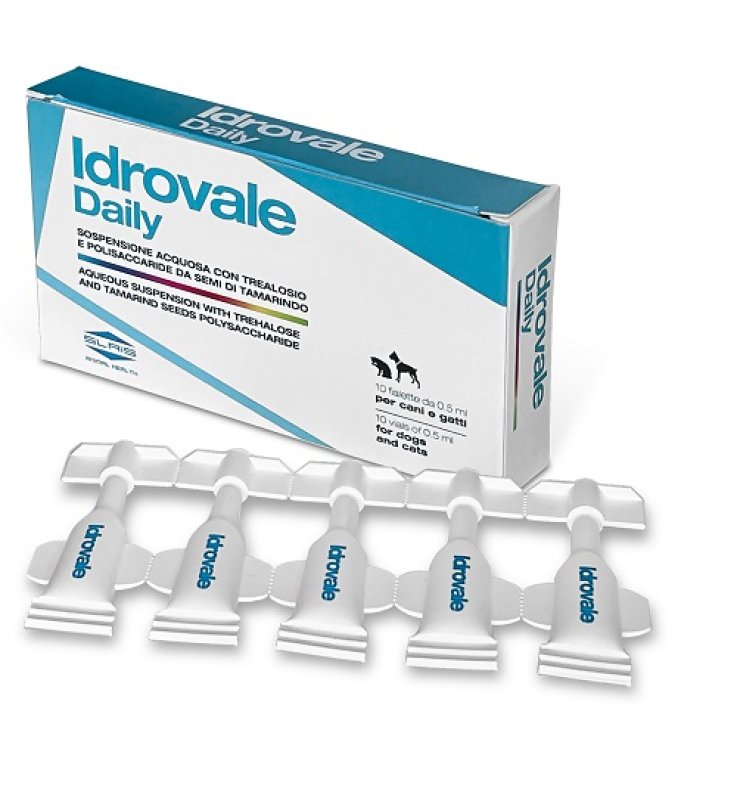 V IDROVALE DAILY 10F