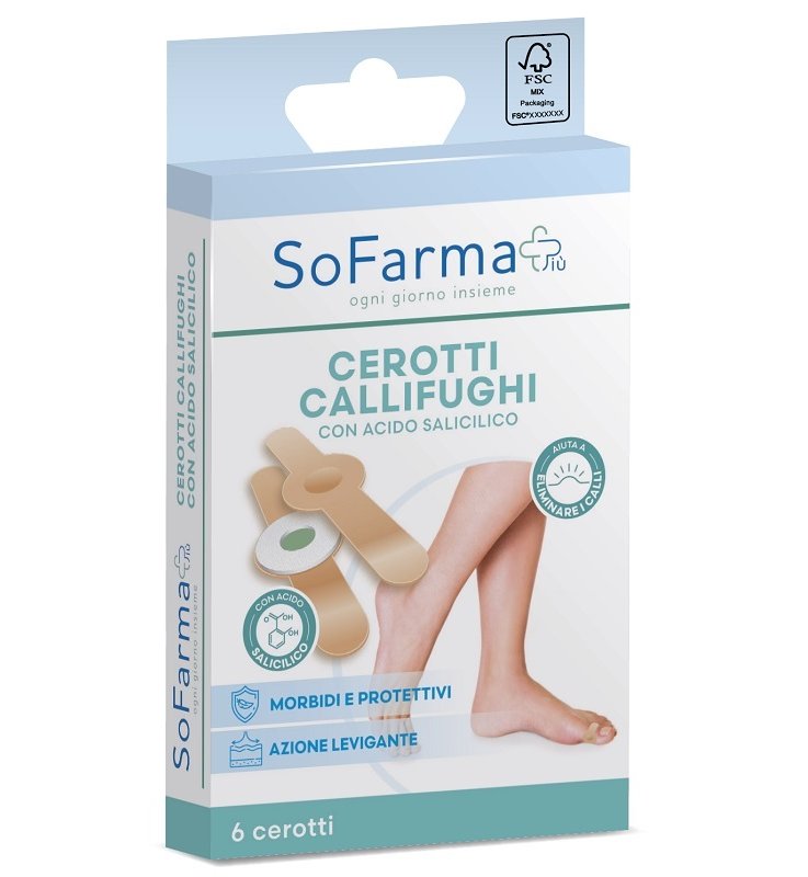 CEROTTO CALLIFUGHI TONDO 6PZ SF+