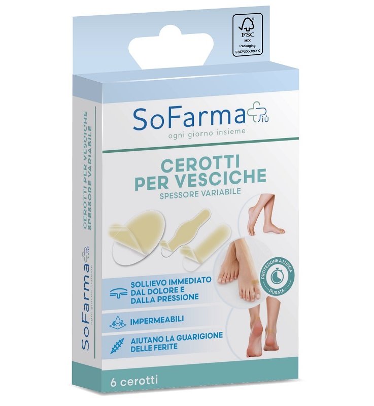 CEROTTO VESCICA ASS SF