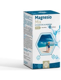 MAGNESIO MIX 60 Cps