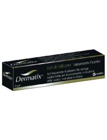 DERMATIX GEL SILICONE 15G GMM