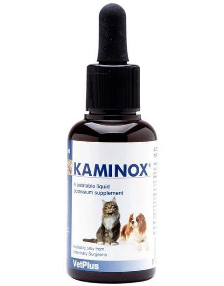 KAMINOX Sciroppo 60ml