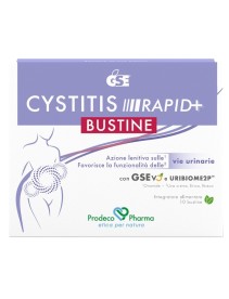 GSE CYSTITIS RAPID+ 10BST