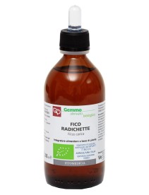 FICO RADICHETTE MG BIO 200ML