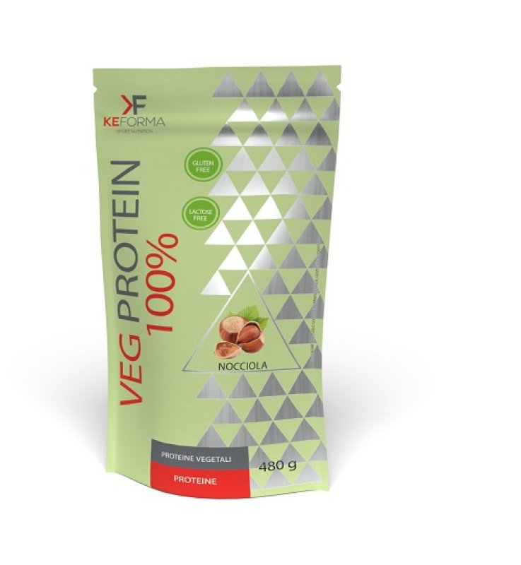 VEG PROTEIN100% NOCCIOLA 480G