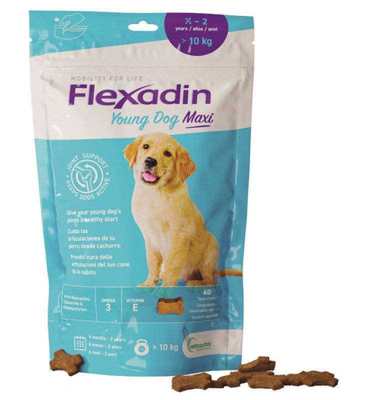 FLEXADIN Young Maxi  60 Tav.